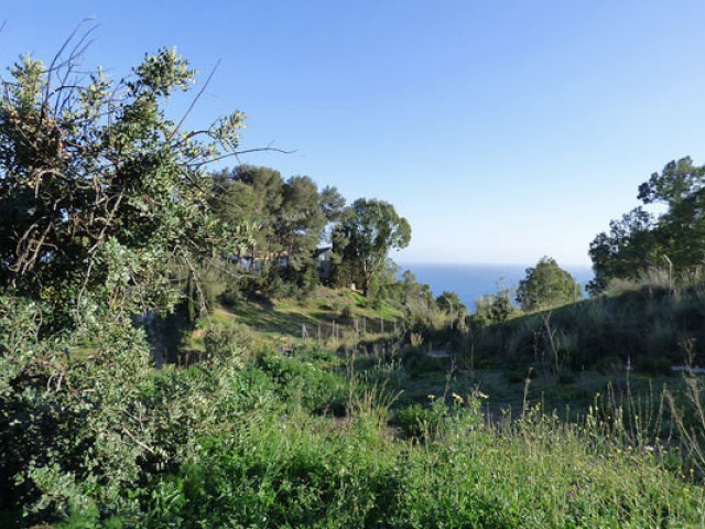  Parcelle à Benalmadena Pueblo