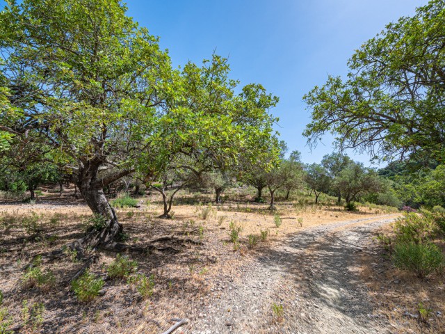  Grundstück in La Zagaleta