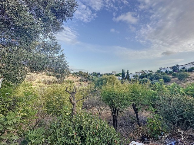 Liikekiinteistö Estepona