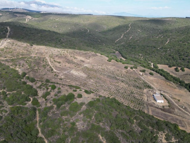 Perceel, Manilva, R4870753