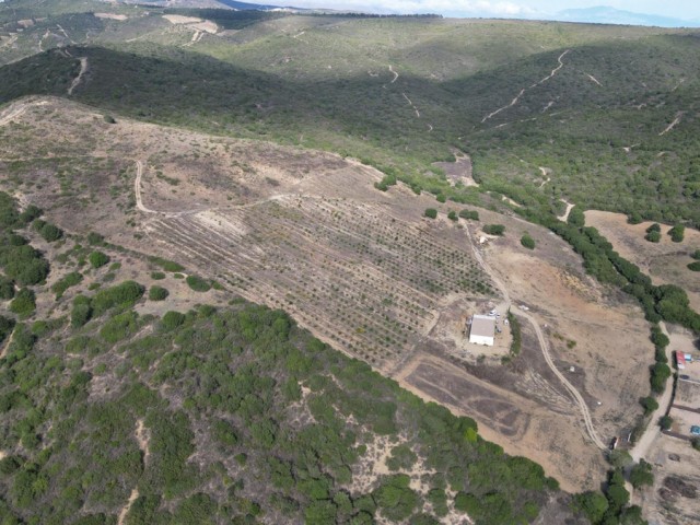 Plot Manilva - R4870753