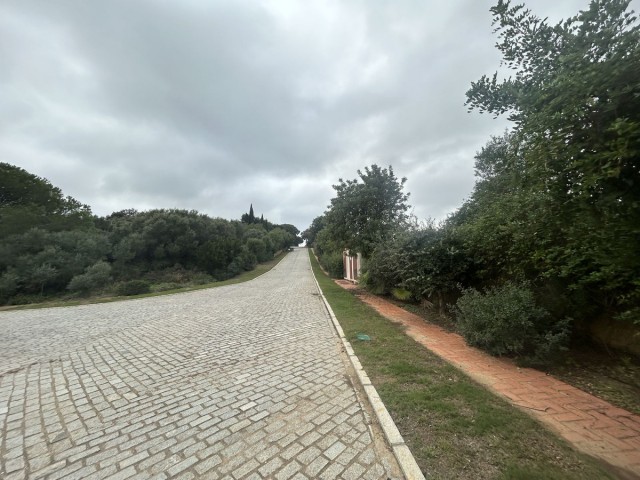 Tomt i Sotogrande Alto