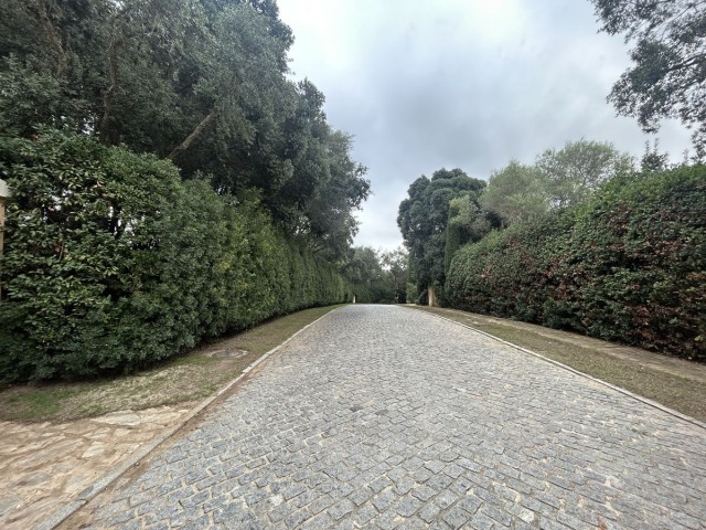  Tomt i Sotogrande Alto