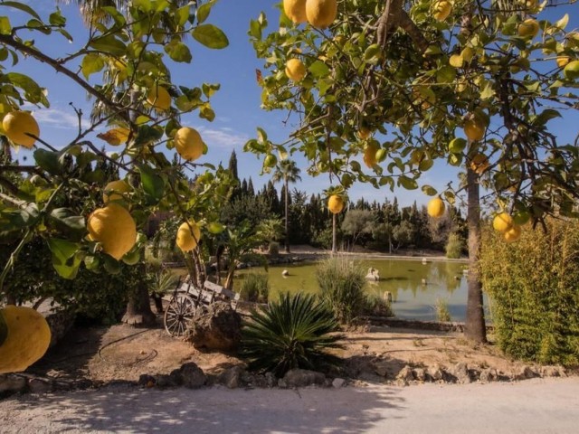 5 Schlafzimmer Villa in Arcos de la Frontera