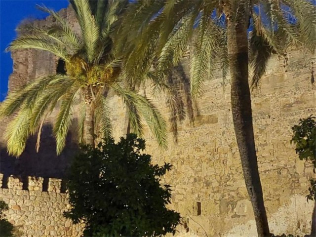  Plot in Marbella
