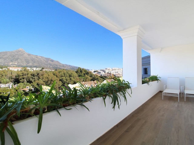 Penthouse in Las Brisas