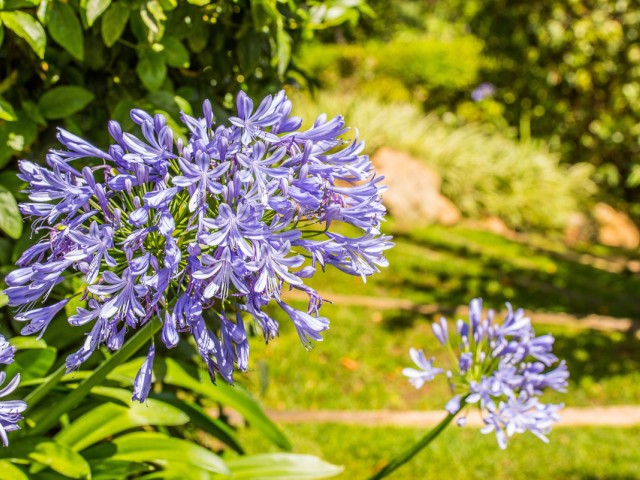 8 Bedrooms Villa in La Zagaleta