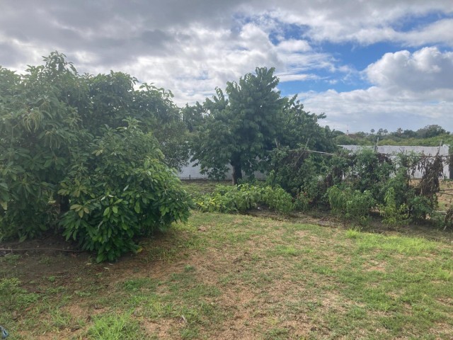 Villa con 4 Dormitorios  en Selwo