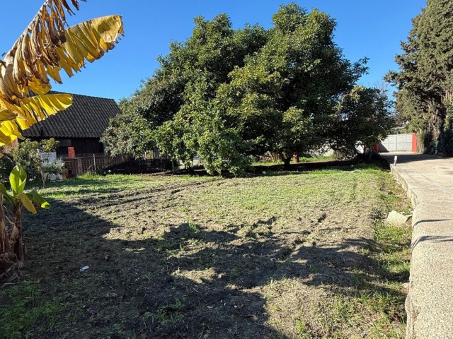  Terreno en San Pedro de Alcántara