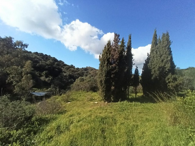 Villa avec 3 Chambres  à La Cala Golf