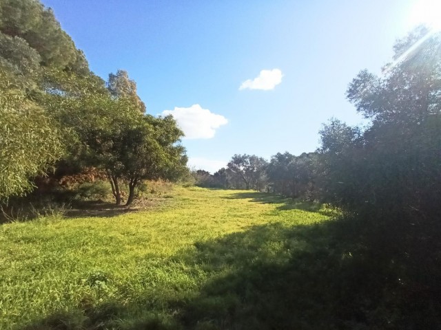 3 Bedrooms Villa in La Cala Golf