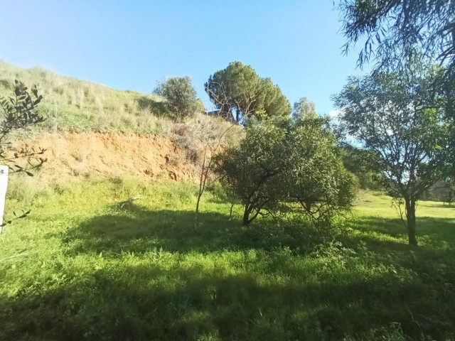 3 Slaapkamer Villa in La Cala Golf