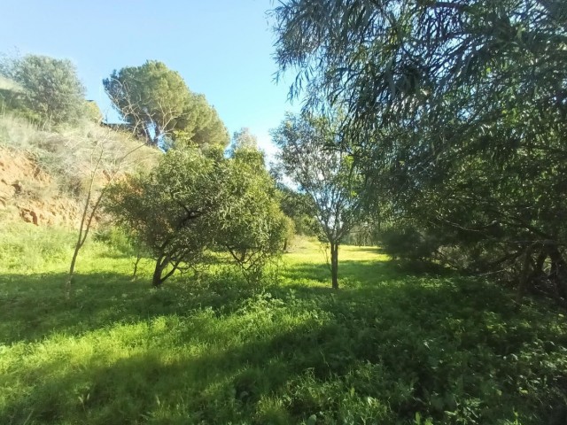3 Slaapkamer Villa in La Cala Golf