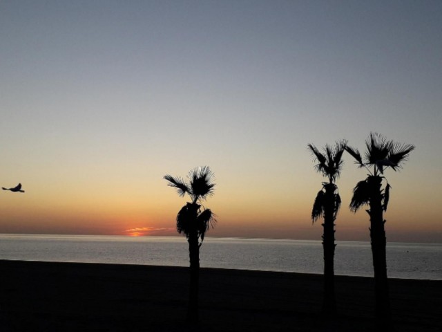 Commercieel in Estepona