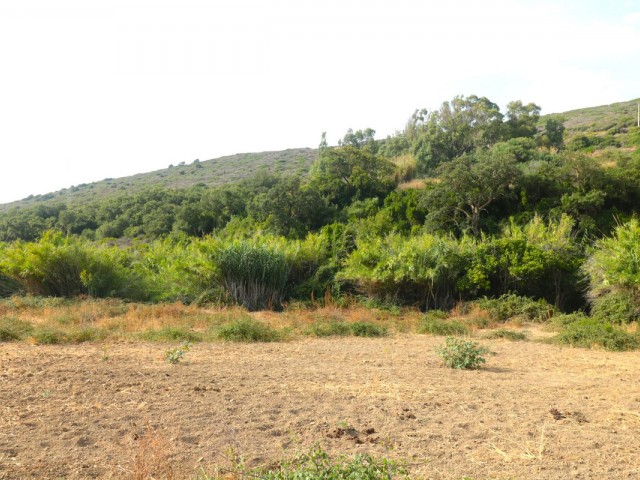  Grundstück in Manilva