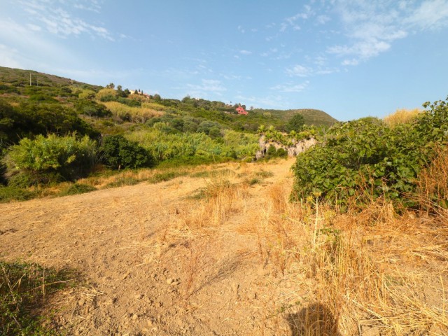  Tomt i Manilva