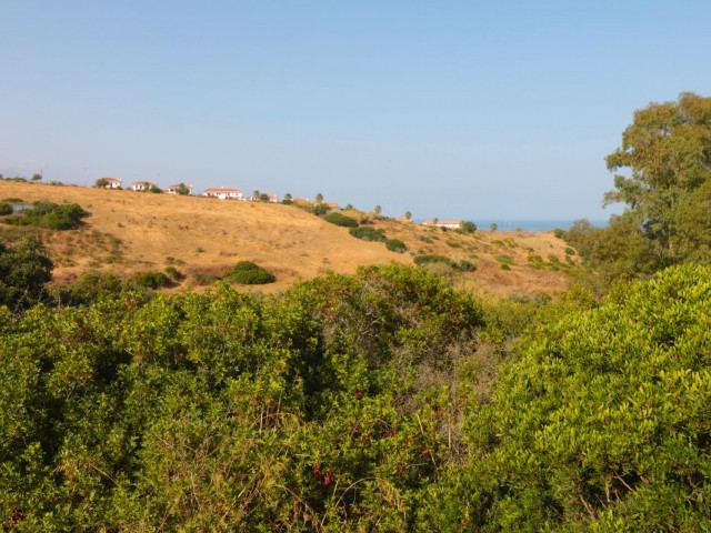  Tomt i Manilva