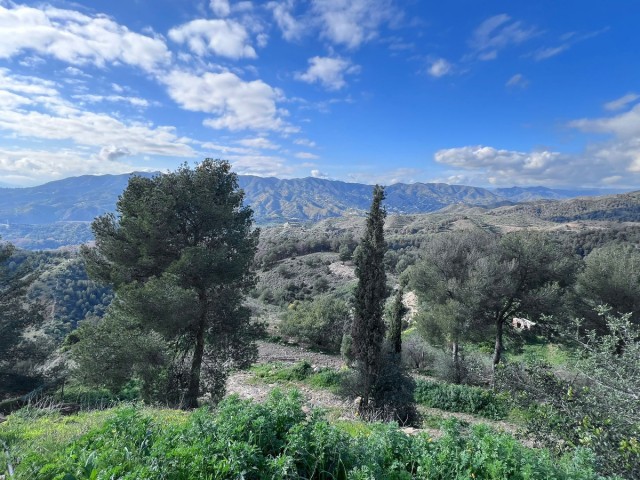 Liikekiinteistö Málaga