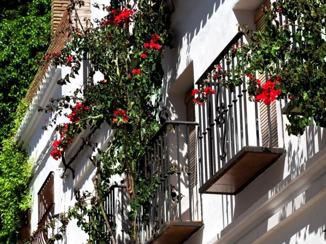 Commercieel in Marbella