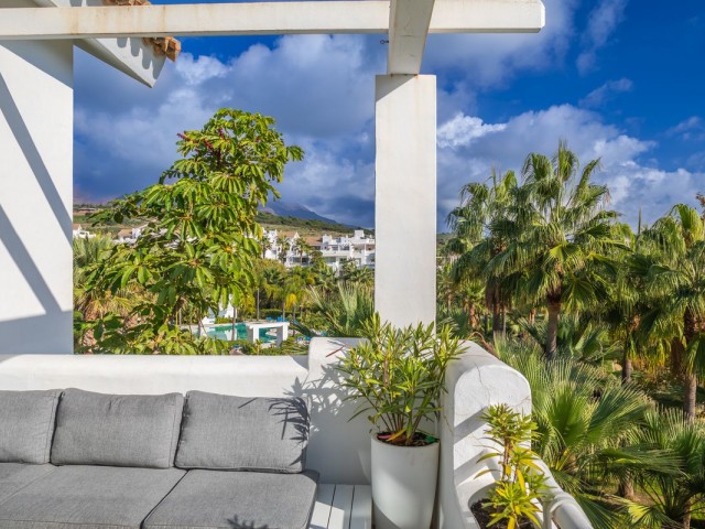 Penthouse in Casares Playa