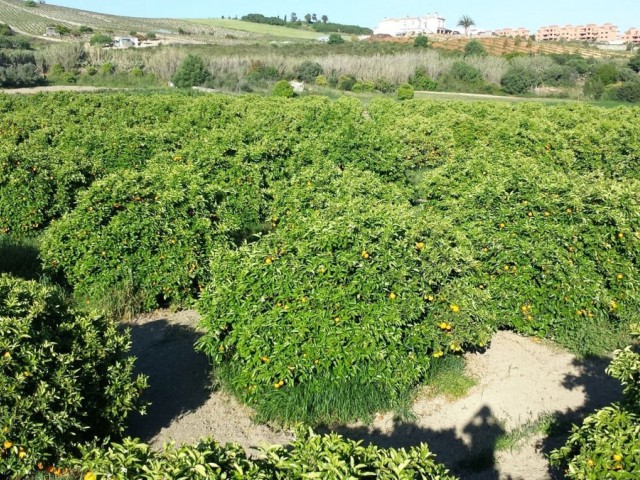 Villa, San Luis de Sabinillas, R4972549