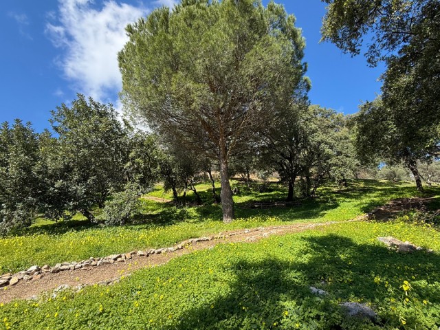  Grundstück in Casares
