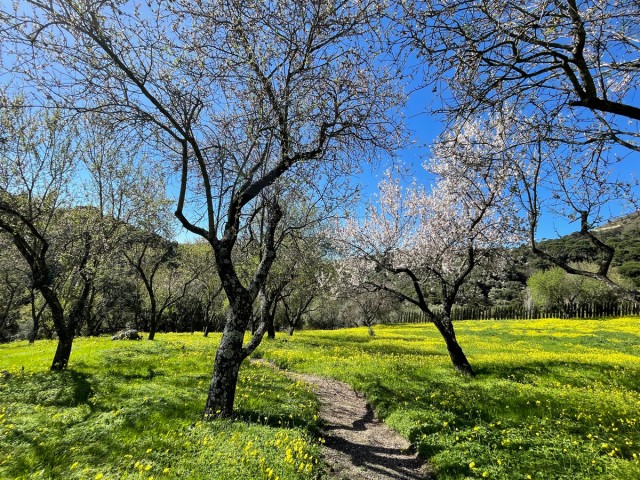  Grundstück in Casares