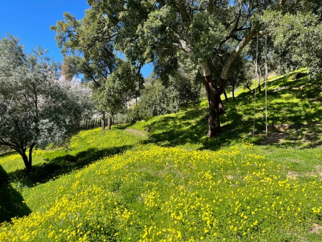  Grundstück in Casares