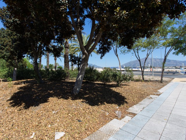 Commercieel in San Pedro de Alcántara