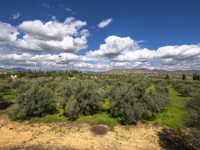 9 Bedrooms Villa in Alhaurín el Grande