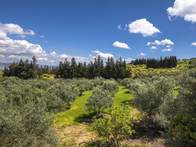 9 Bedrooms Villa in Alhaurín el Grande