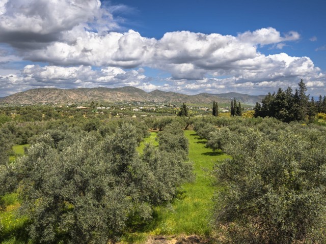 9 Makuuhuoneen Huvila Alhaurín el Grande