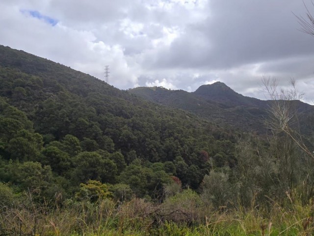  Perceel in Benahavís