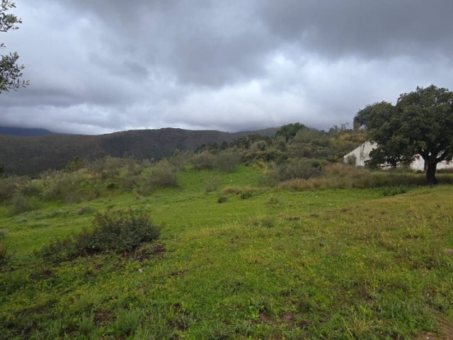  Perceel in Benahavís