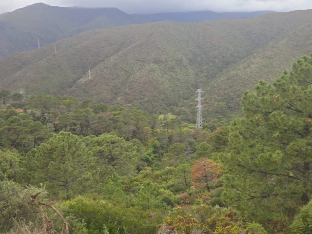  Perceel in Benahavís