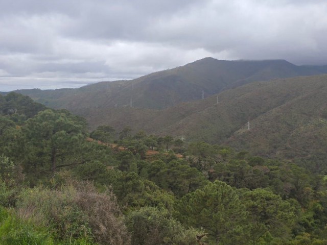  Perceel in Benahavís