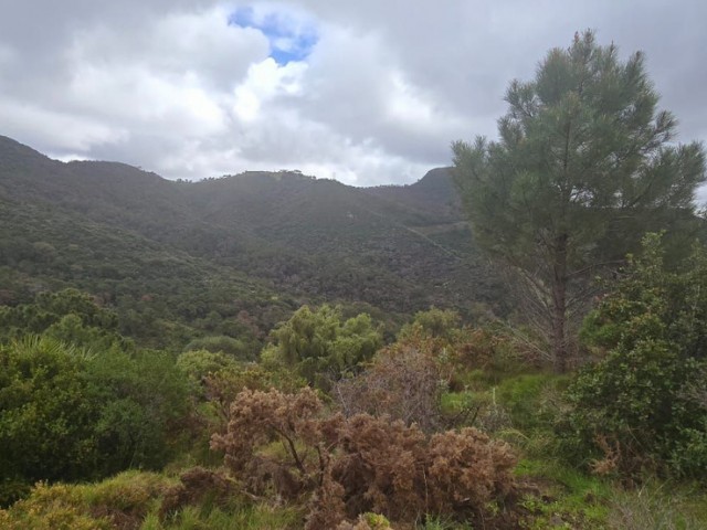  Perceel in Benahavís
