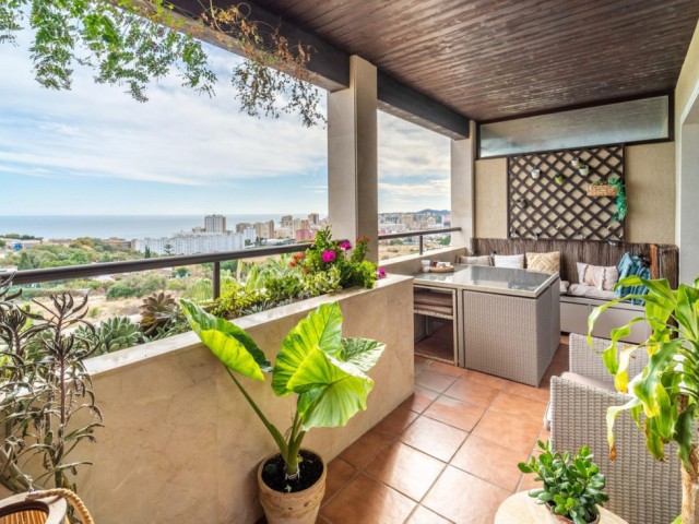 Apartamento con 3 Dormitorios  en Los Pacos