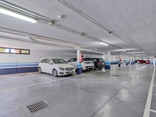 Apartamento con 3 Dormitorios  en Los Pacos