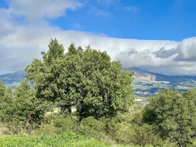 Tomt, La Cala, R4964269