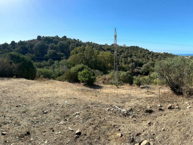  Grundstück in Cabopino