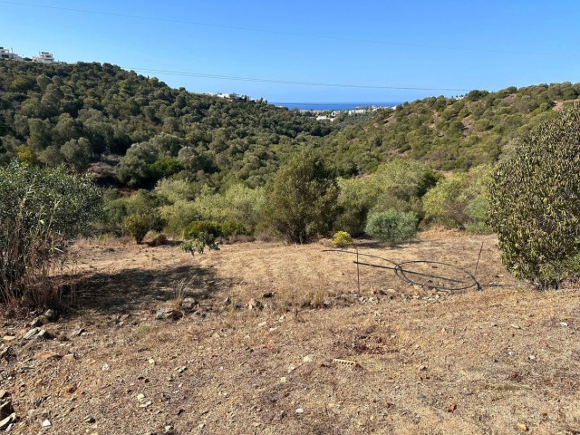  Grundstück in Cabopino