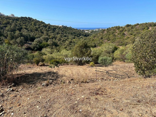  Parcelle à Cabopino