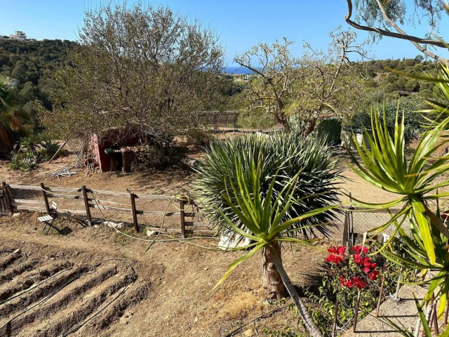  Terreno en Cabopino