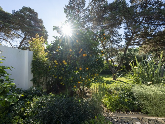 3 Bedrooms Villa in Marbesa