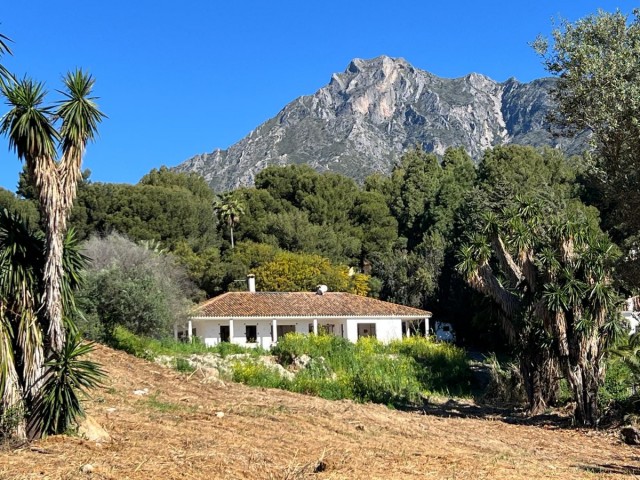  Tomt i Sierra Blanca