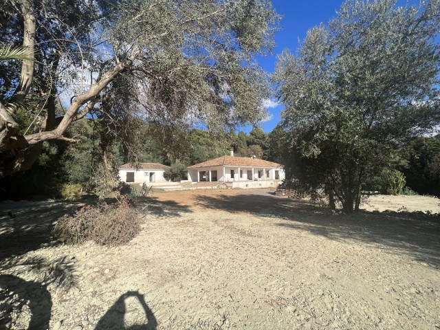  Tomt i Sierra Blanca