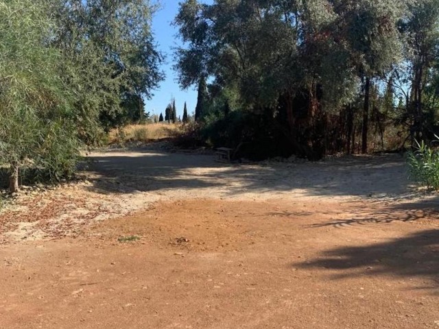  Tomt i Sierra Blanca