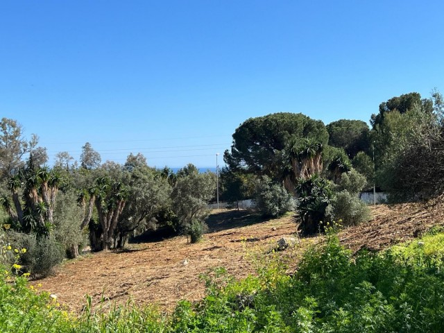  Tomt i Sierra Blanca