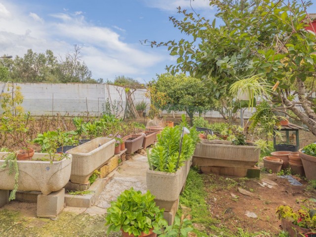 3 Bedrooms Villa in Las Chapas